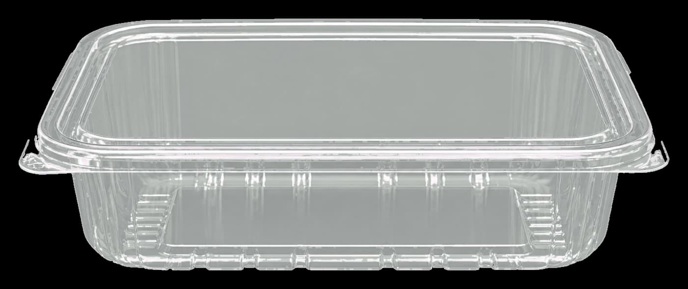 Rectangle Container - Transparent